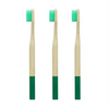 100% Healthy Eco-friendly Organic Wood Natural Tooth Brush Manufacturer