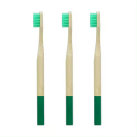 100% Healthy Eco-friendly Organic Wood Natural Tooth Brush Manufacturer