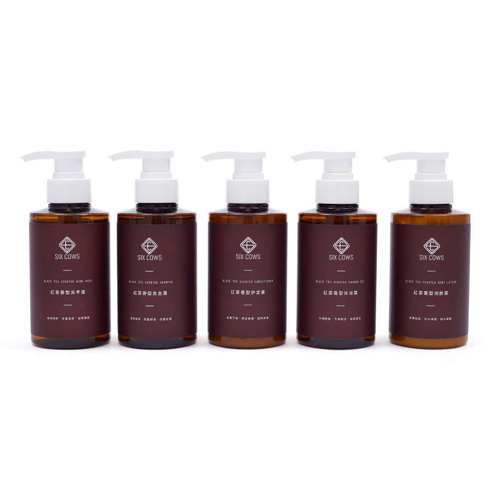 Luxury Full Set Shower Gel Shampoo Wholesale Portable Room Amenities for Hotel