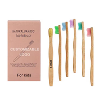 Custom Private Logo Organic Biodegradable Bamboo Toothbrush with Castor Oil Bristles
