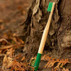 100% Healthy Eco-friendly Organic Wood Natural Tooth Brush Manufacturer