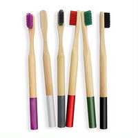 BPA-Free Toothbrush Supplier