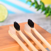 High Quality Nano Custom Eco Friendly Bamboo Toothbrush