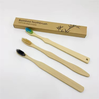 Customized Brand Package 100% Biodegradable Bamboo Toothbrush