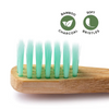 Bamboo Charcoal Toothbrush with Case