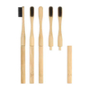 100% Natural Compostable Round Handle Replaceable Ecofriendly Moso Bamboo Toothbrush