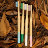 100% Healthy Eco-friendly Organic Wood Natural Tooth Brush Manufacturer