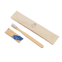 Bamboo Toothbrush Kit