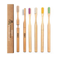 Biodegradable Replaceable Head Charcoal Removable Bamboo Toothbrush