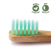 Wholesale And Retail Biodegradable BPA Free Bamboo Toothbrush Supplier