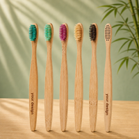 Free Sample Custom Wholesale Biodegradable Soft for Toothbrush with Nylon Bristles Charcoal Color for Hotel Use Suppliers