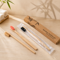 Natural Eco-Friendly Biodegradable Bamboo Toothbrush with Colorful Nylon Bristles Wood Dental Toothbrushes