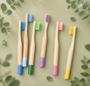 Colorful Soft Bristle Painting Handle for Toothbrush Home Use Low MOQ Factory Directly Wholesale Cheaper Price Hygiene Kit